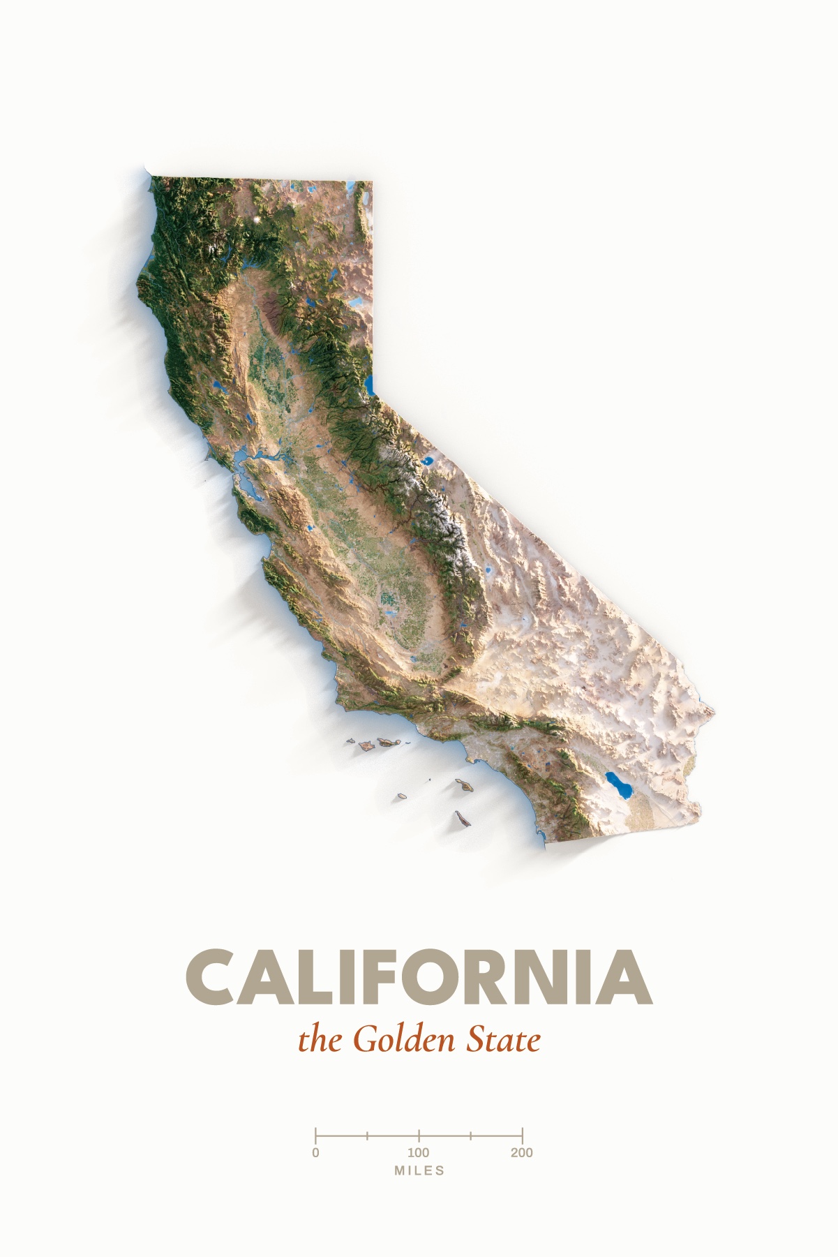 Digital front view of the California proof design
