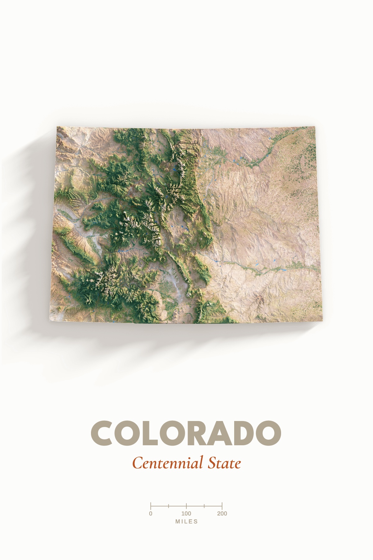 Digital front view of the Colorado proof design