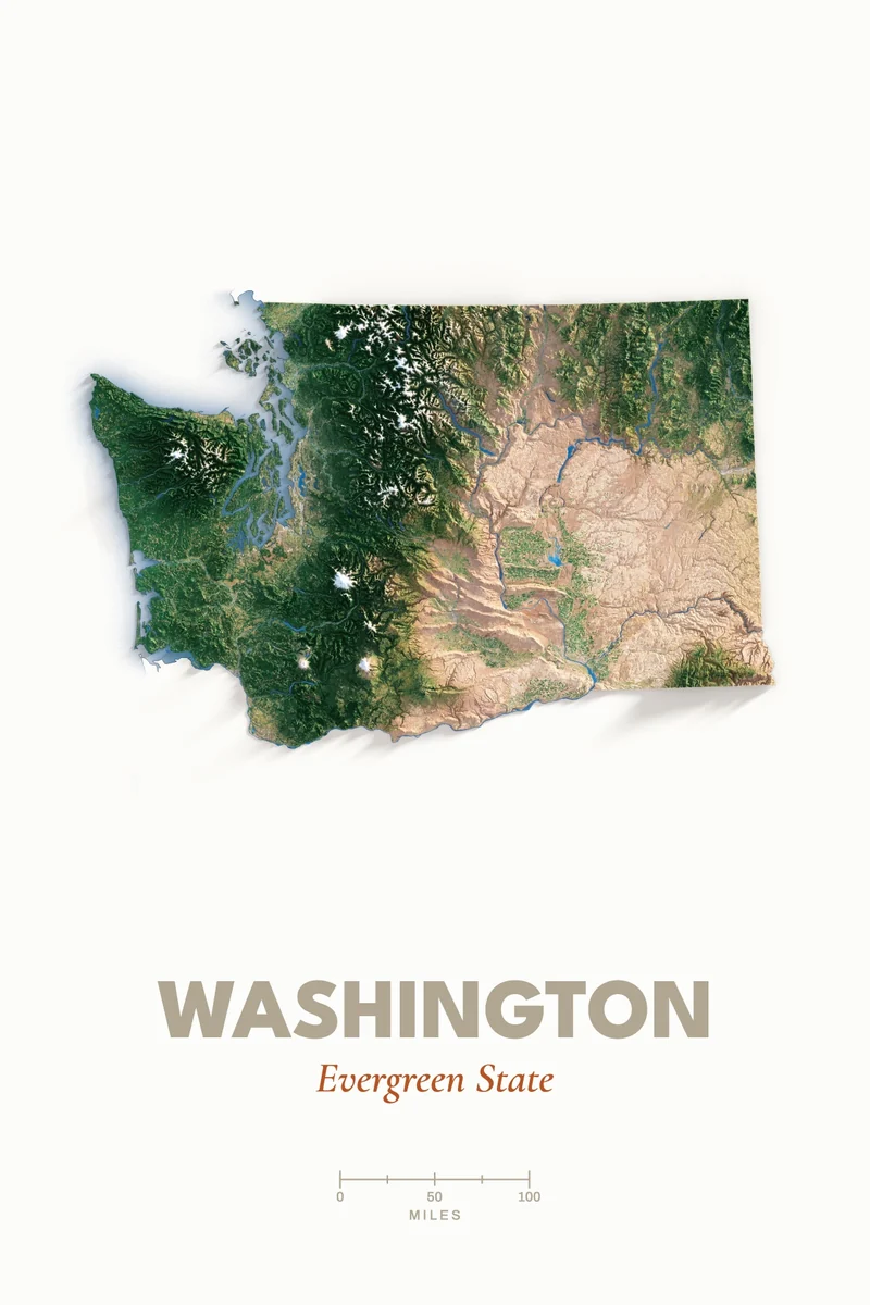 Digital front view of the Washington proof design