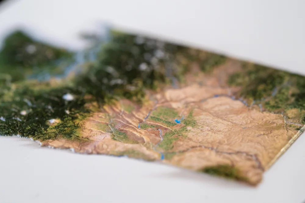 Low raking light across the embossed surface of a United States postcard production proof